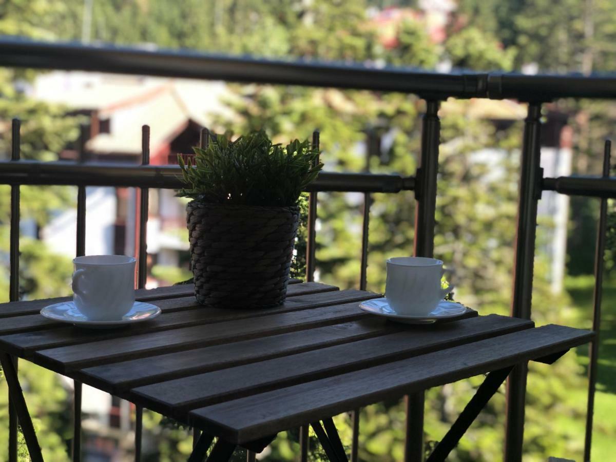 Apartmán Deluxe 707 Borovec Exteriér fotografie
